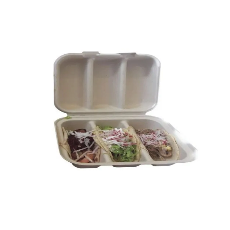 Top Quality 100% Eco-friendly Recyclable Biodegradable Protective Customized Molded Pulp Tray Packaging for Pulp Container