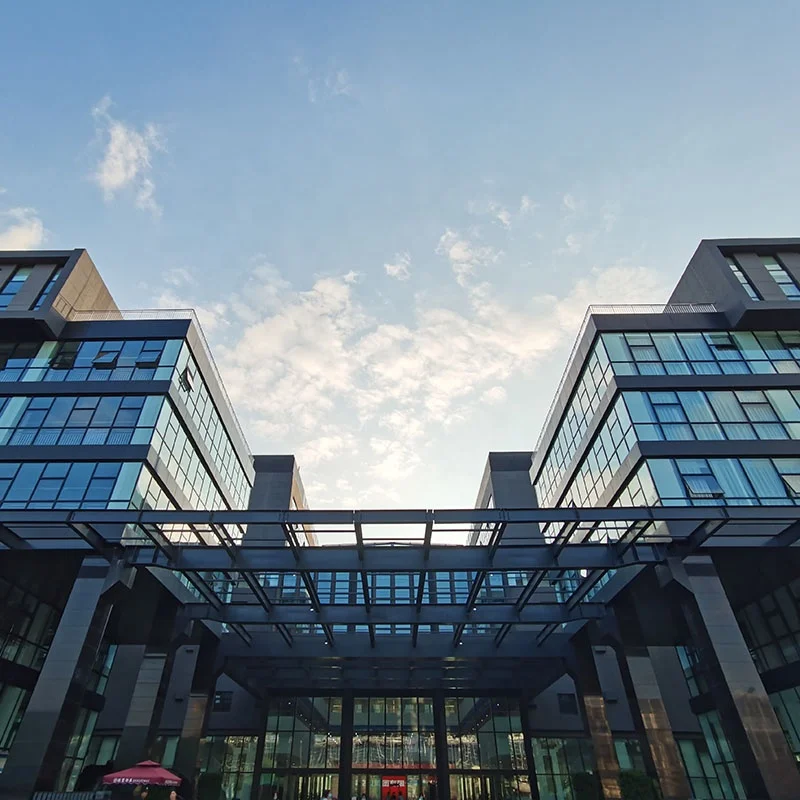 Biobase Stick Easy Carry Chair Walking Stick for Laboratory/Hospital/Nursing Home