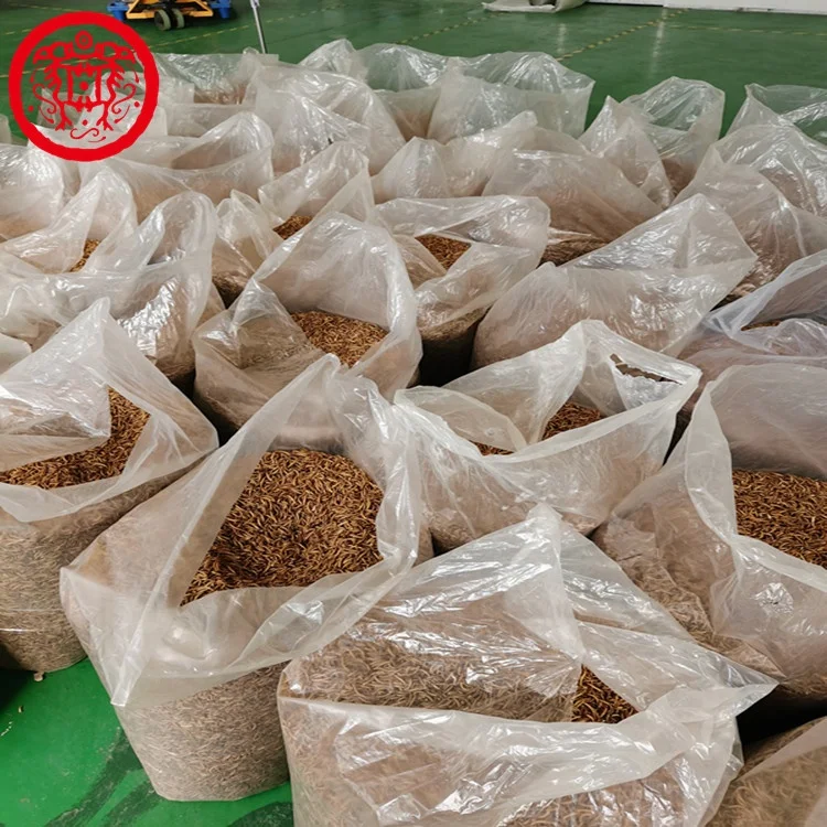 Factory High Quality Dried Tenebrio Molitor Mealworms Fish Pet Food