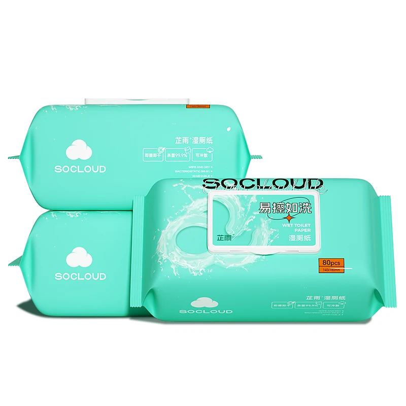 Wholesale Natural Organic 100% Biodegradable Unscented Disposable Toilet Cleaning Wipes Adult Flushable Wet Wipes