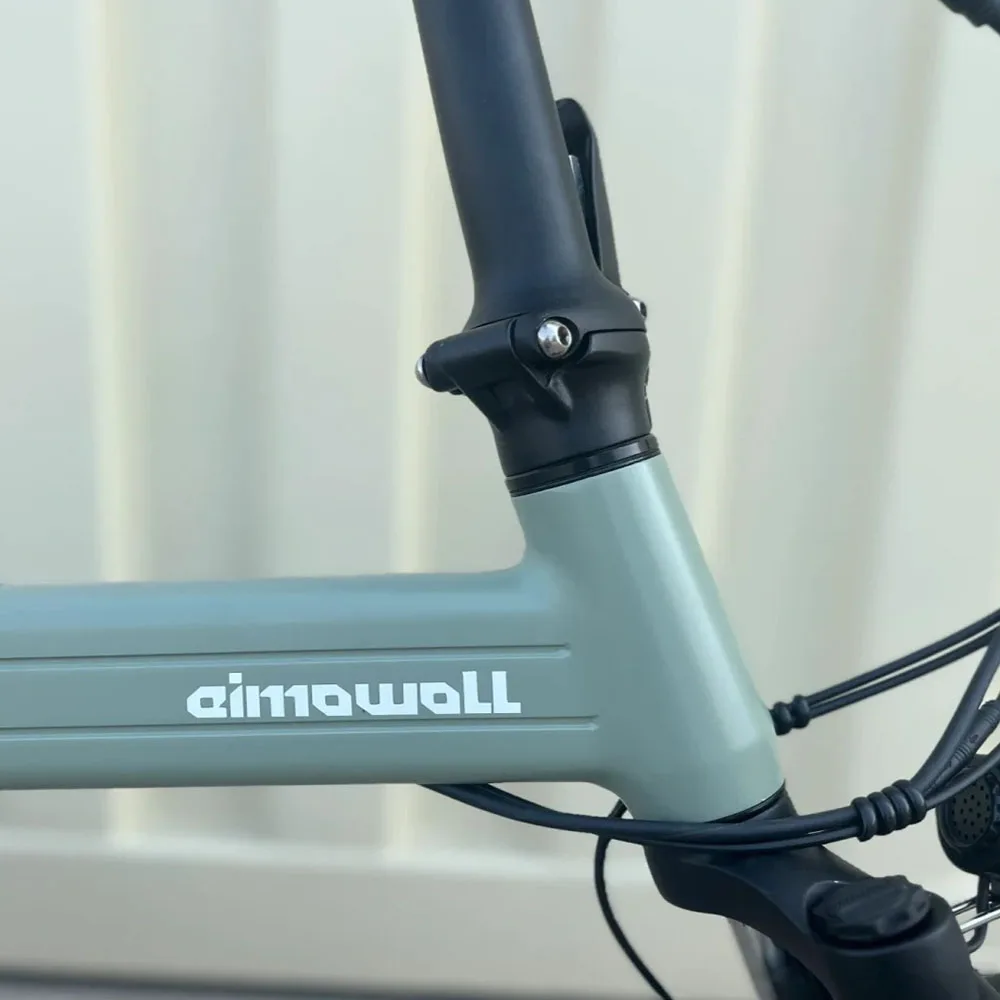 electric cargo bike