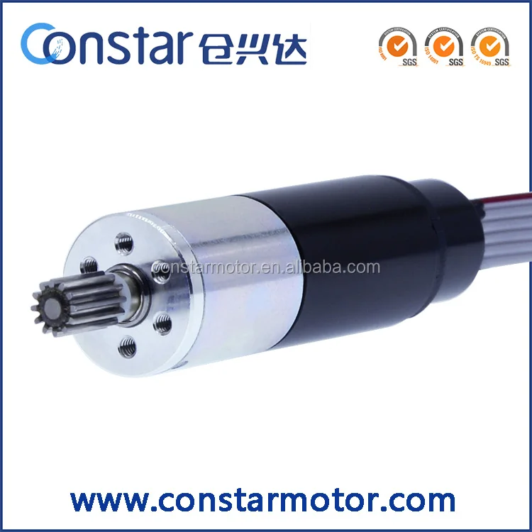 Chinese Supplier Mini 12 volt DC Servo Motor 24v DC Servo Motor Price