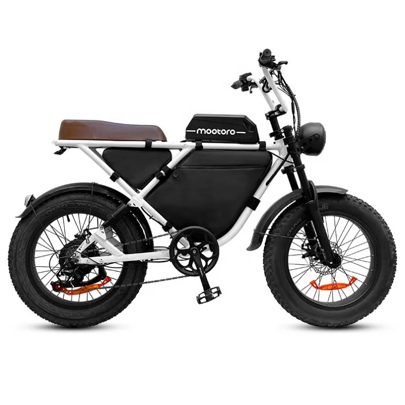 Motorcycle Electric Moped