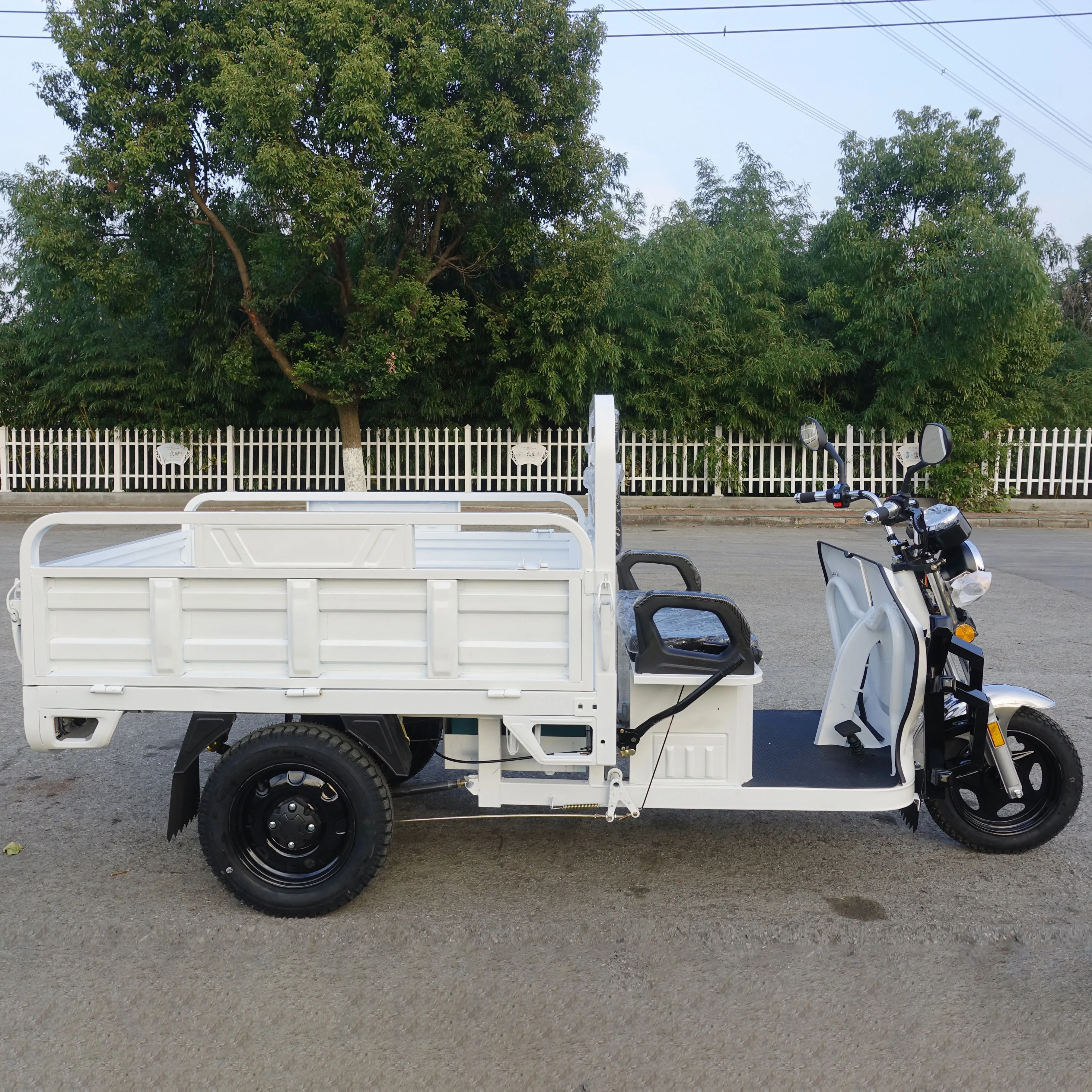 Chinese electric tricycle Good quality and low price cargo and passenger adult electric Tricycle motorcycle