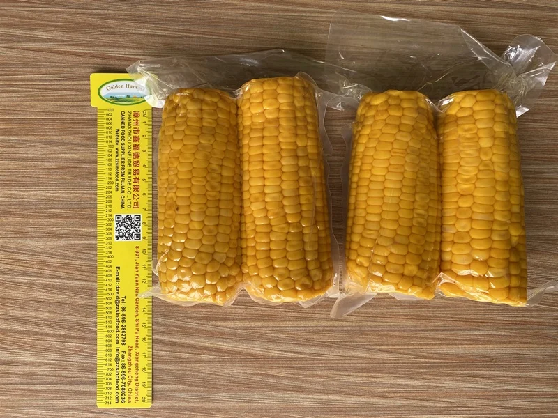 Fresh Vacuum pack Sweet Corn On The Cob in pouches Canned Maiz Dulce(sweetcorn)