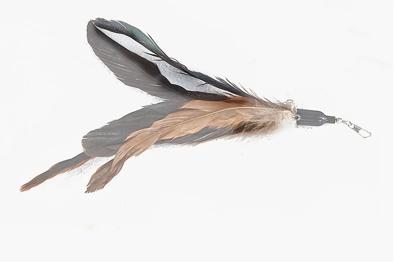 Cat teaser wand refill feather different color da bird replacement toy