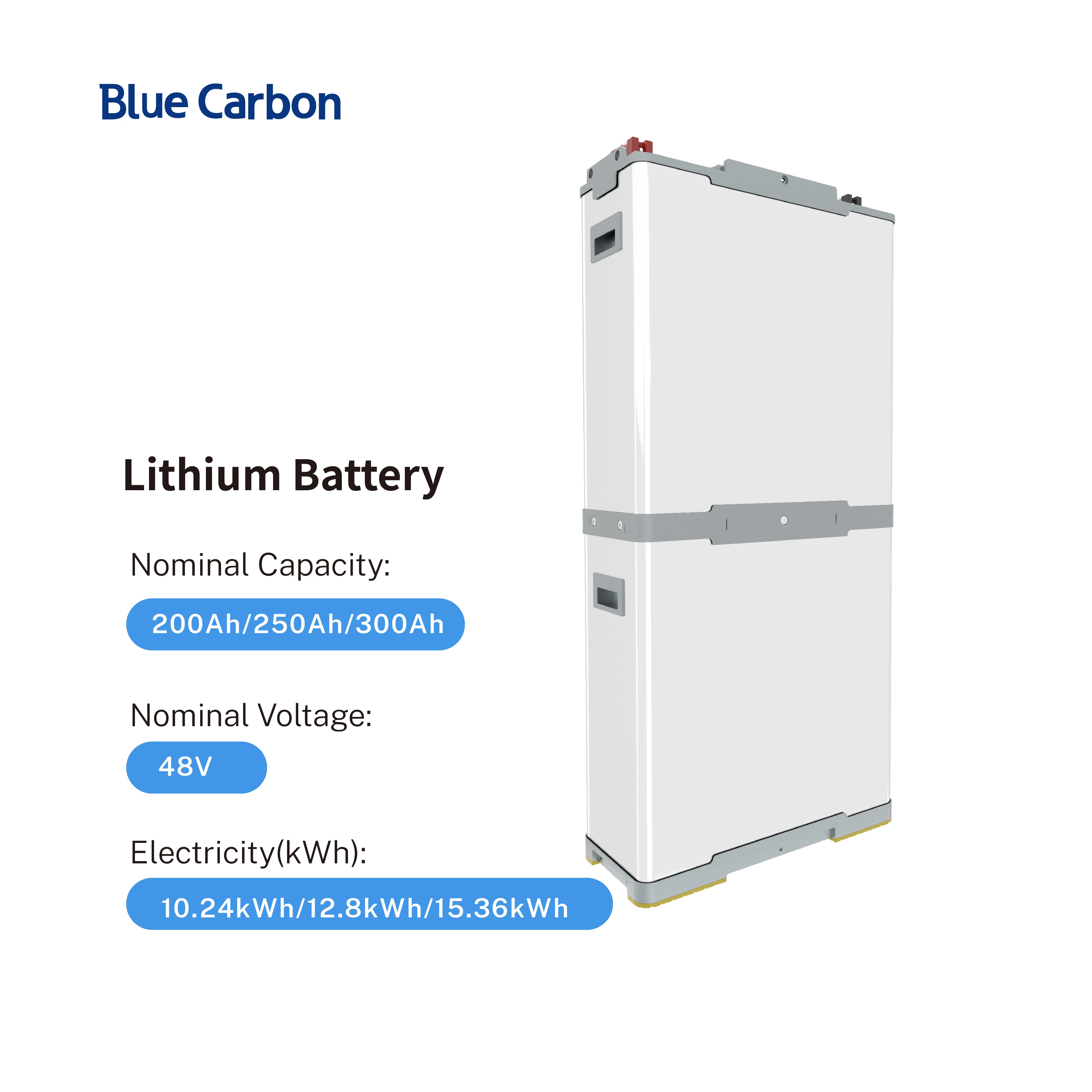 Blue carbon battery 48v 200 ah 10KWh Solar Battery rechargeable off grid power supply with Built-in BMS LiFePo4 Lithium battery