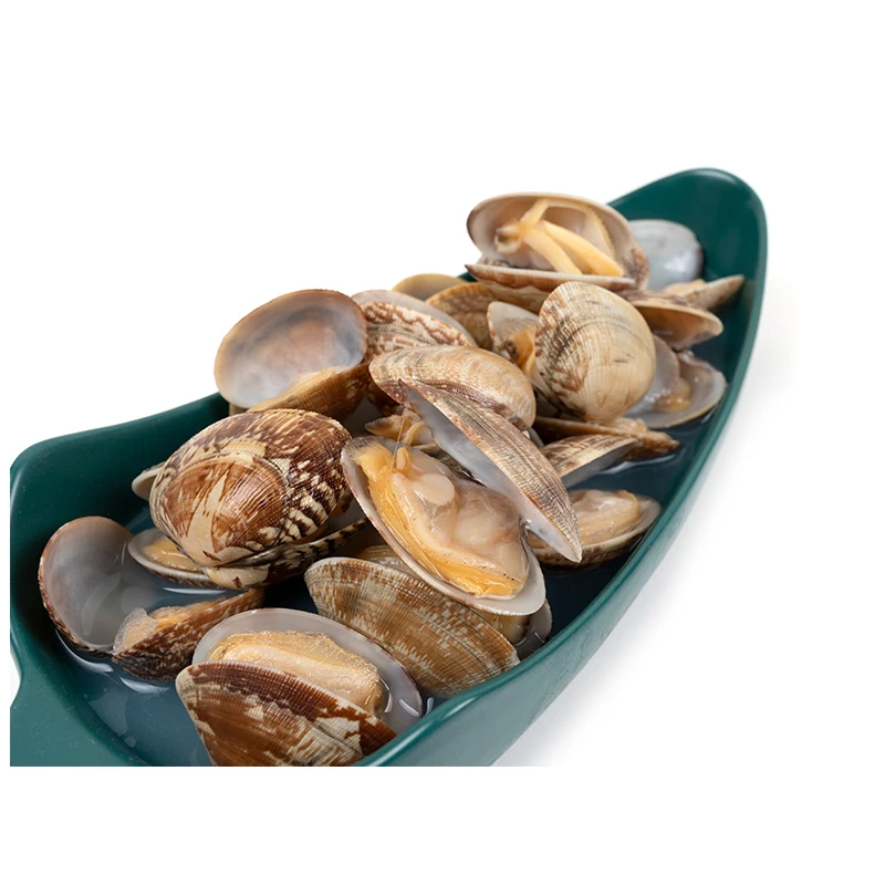 Manufacturer well made frozen clams organic clams meat