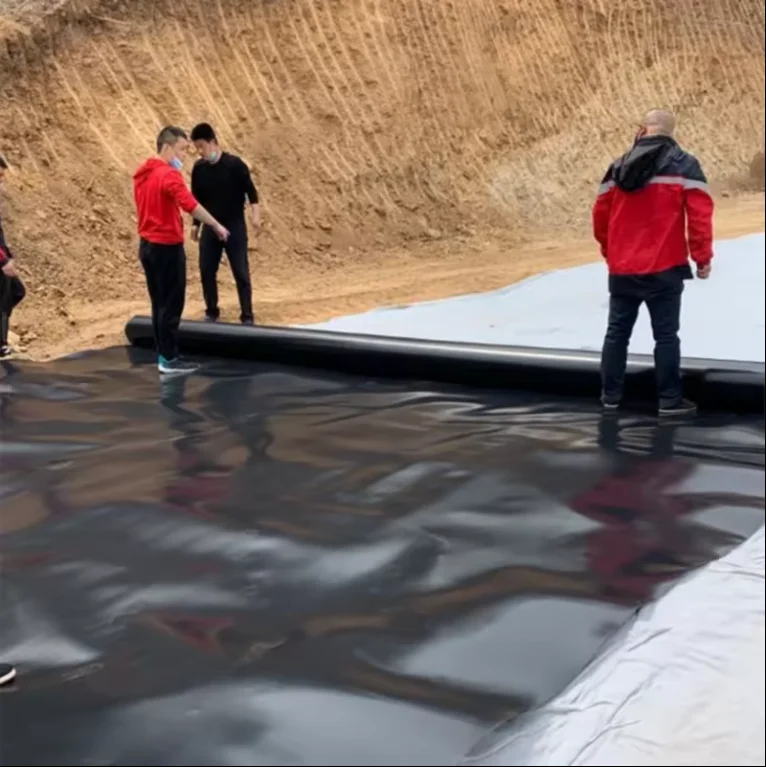 LongTai Best Quality Waterproof Material HDPE Geomembrane Pond Liner Reservoir Hdpe Film Swimming Pool Plastic Water Tank Film