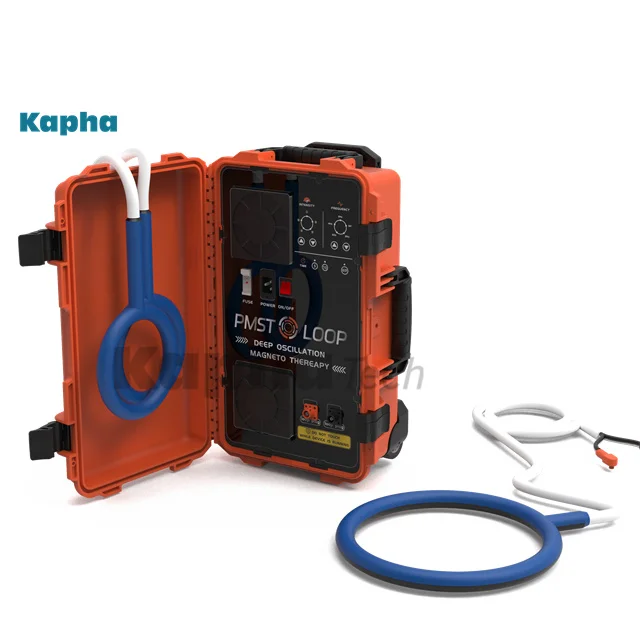 Kapha Newest Home Users Pemf Magnetic Therapy Device PMST LOOP Physical Therapy Machine