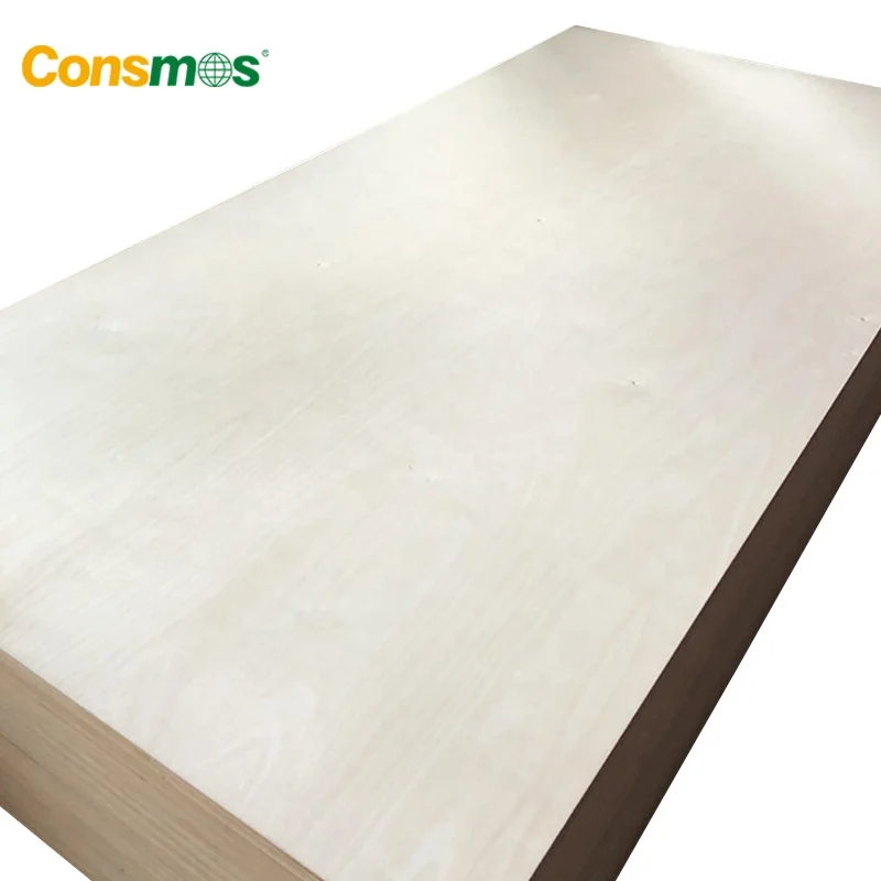 Linyi 2x4 4mm 9mm 21mm Waterproof Baltic Full Birch Plywood