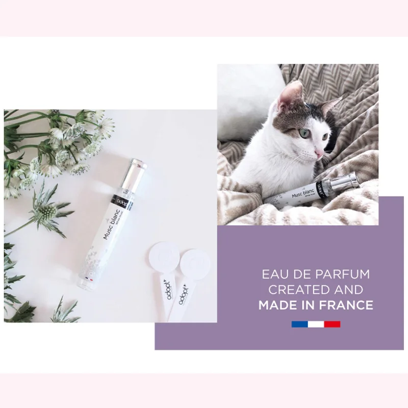 
5ml 10ml 20ml 30ml 50ml 100ml High Quality Odor Removal Spray Perfume body spray oem odm 