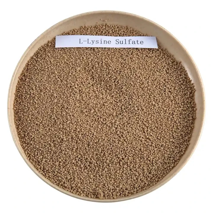 L lysine feed additives l-lysine sulphate/sulfate 70% for poultry feed