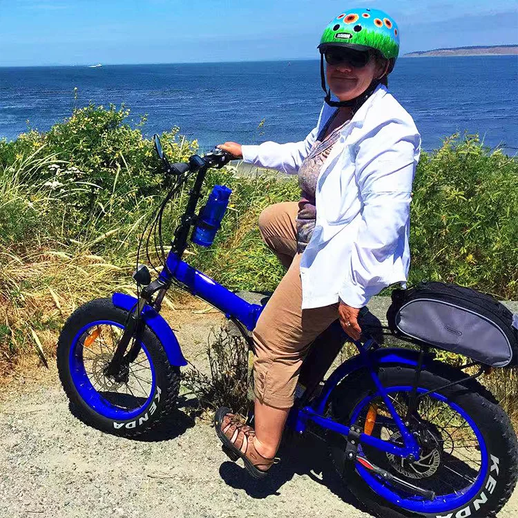 High Quality Ebike Foldable Electric Bicycle Integrated Lithium Battery 36V15Ah 500W Motor 7 Speed Fat Bike Electric