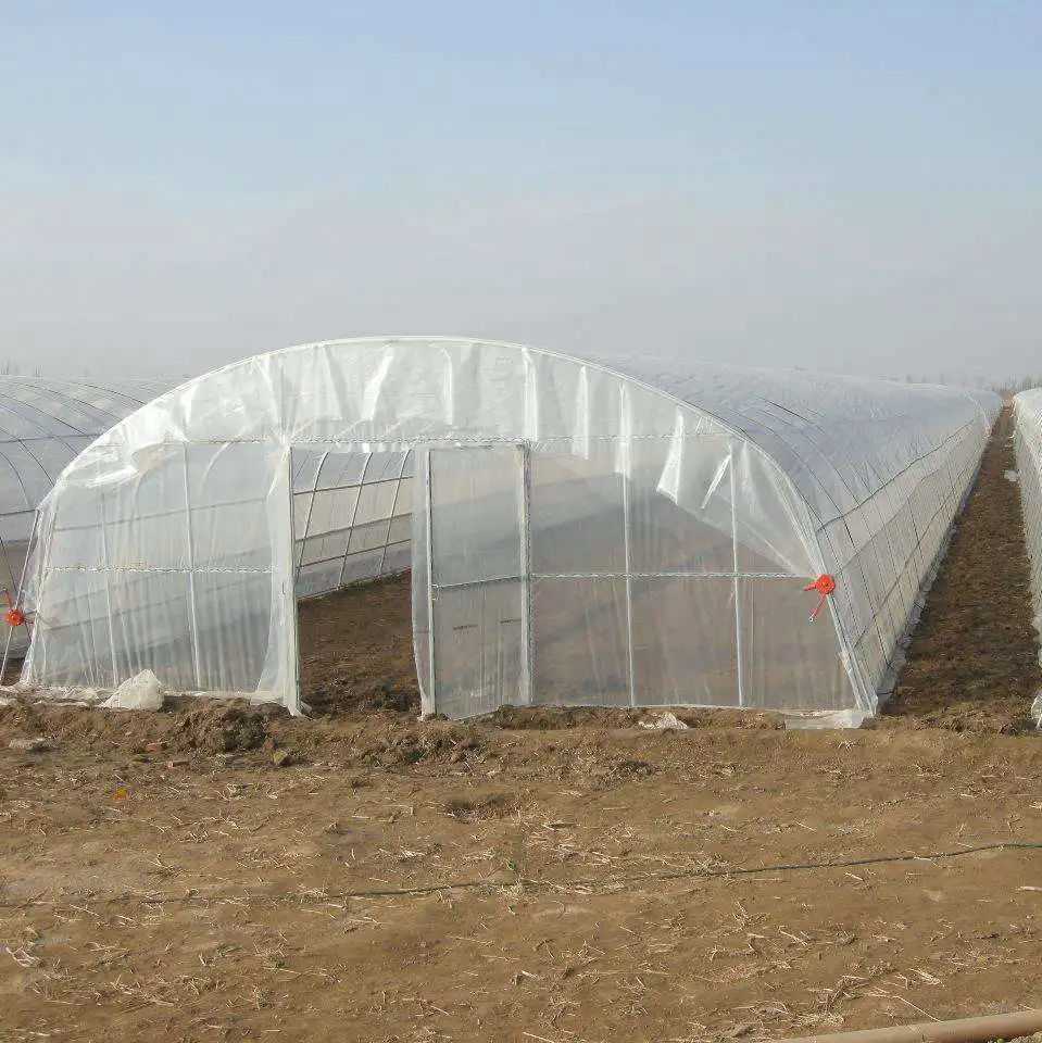 2024 hot galvanized steel frame greenhouses for growing mushroom for sale