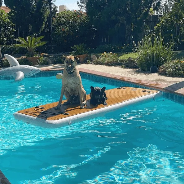 Inflatable Dock Seal Jet Ski Bote