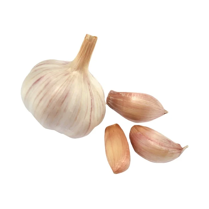 2024 pure garlic white china supplier wholesale supplier seeds for planting export garlic for sale