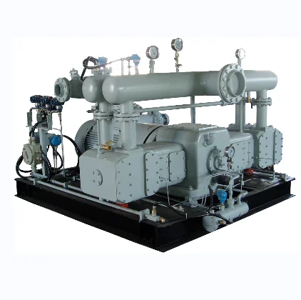 Best-Selling Noiseless Oil-Free Air Compressor CNG Natural Gas for CNG Filling Station