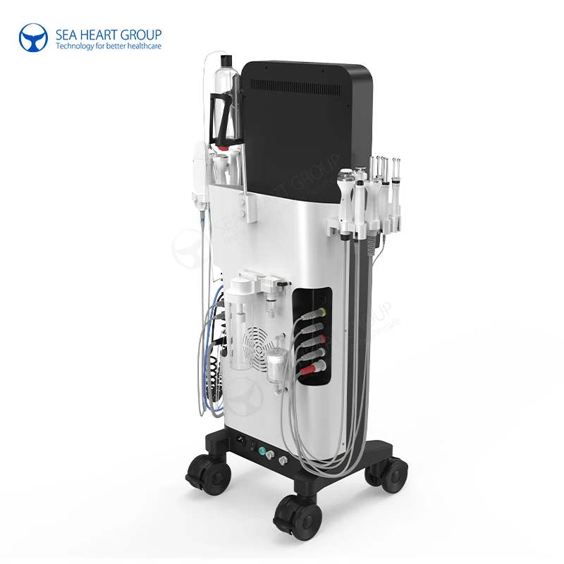 HydraMaster pro facial dermabrasion diamond high frequency crystals peeling crystal hydro microdermabrasion machine