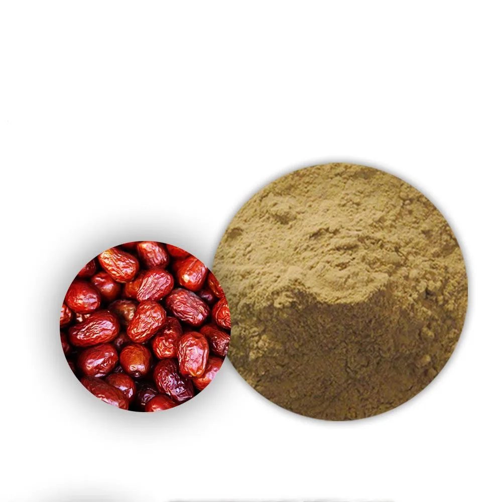 
Pure Natural Chinese Dried Red Dates Extract Powder 