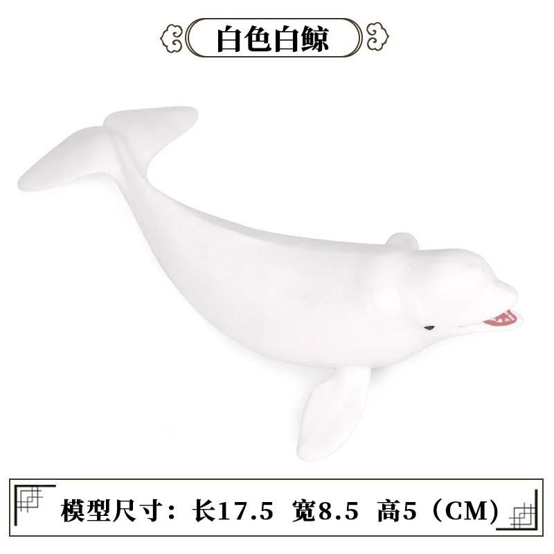 CJJ174 7505.jpg