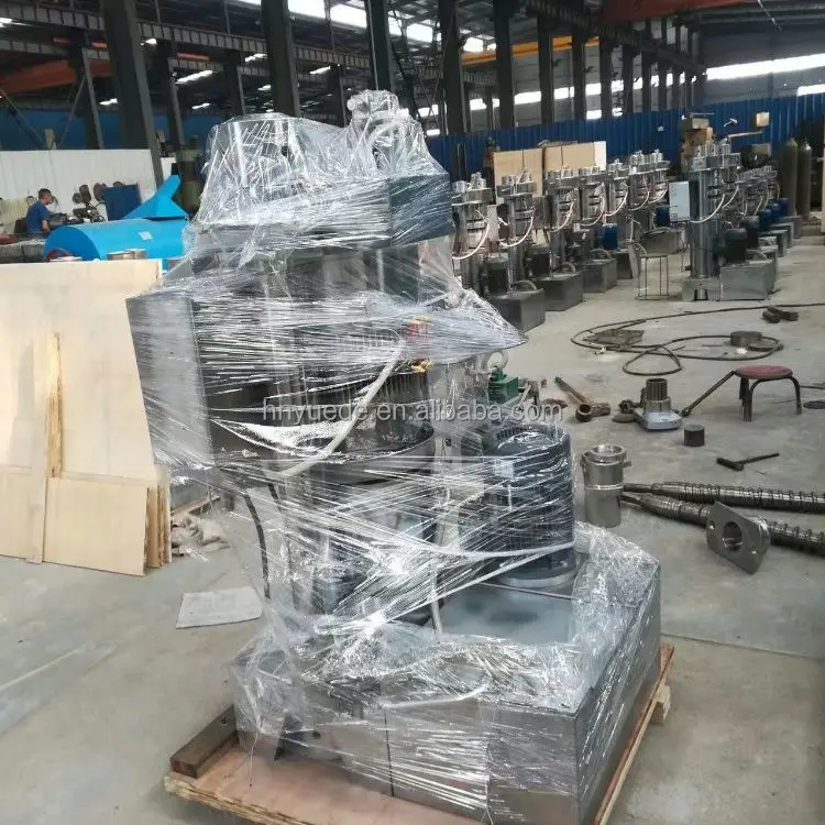 Moringa Soybean Cacao Oil Extractor Automatic Olive Canola Nut Oil Extraction Machine Small Cold Press Oil Machine