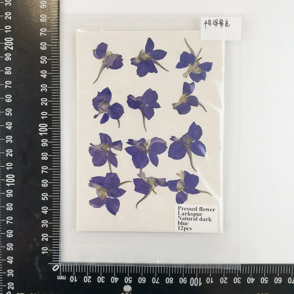 12pcs/bag Larkspur Single Petal DIY Candle Soap Making Natural Plant Eco-friendly Dried Pressed Flower