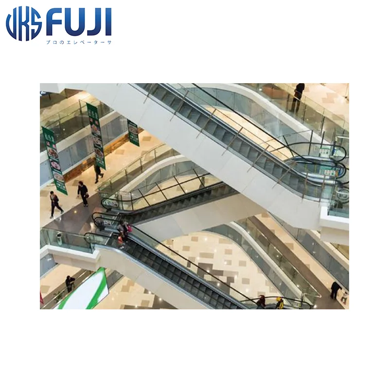 FUJI Brand Low Noise High Speed  Escalator Cheap Price Escalator With Good Quality For Indoor And Outdoor Use