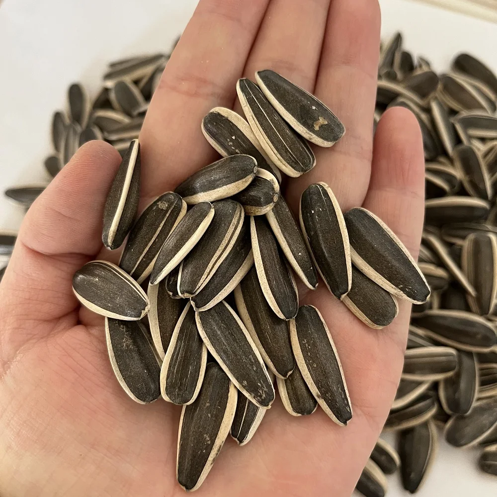 Chinese Manufacturers Supply Healthy Food Fresh Pure Natural Extreme Sunflower Kernels Seeds