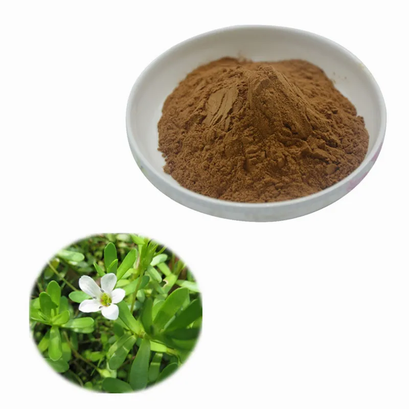 Pure Natural Herb Medicine Bacopa Monnieri Extract Powder
