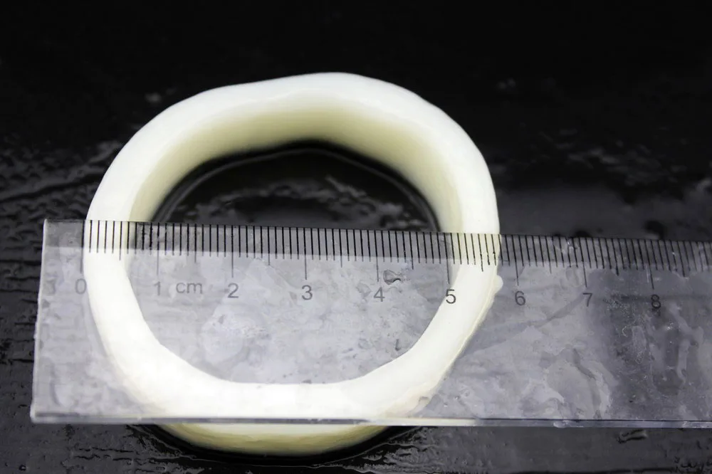 
fresh seafood squid ring frozen squid 