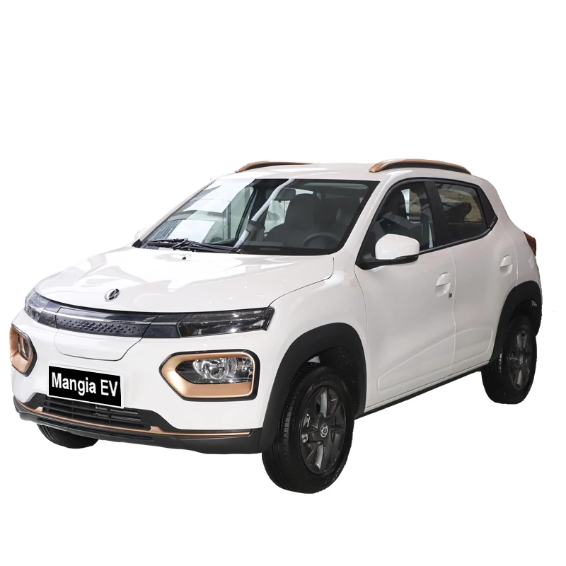 Новый электрический автомобиль Dongfeng Nano Box 2025 спортивная версия семейный внедорожник 4-х местный электромобиль для взрослых по низкой цене