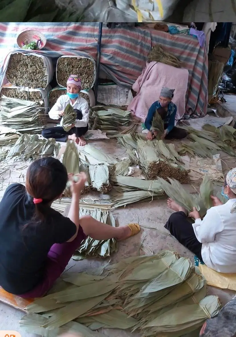 100% Natural Sun Dried Bamboo Leaf For Making Cake Competitive Price Big Size 9cm up Dried Bamboo Leaves From Vietnam