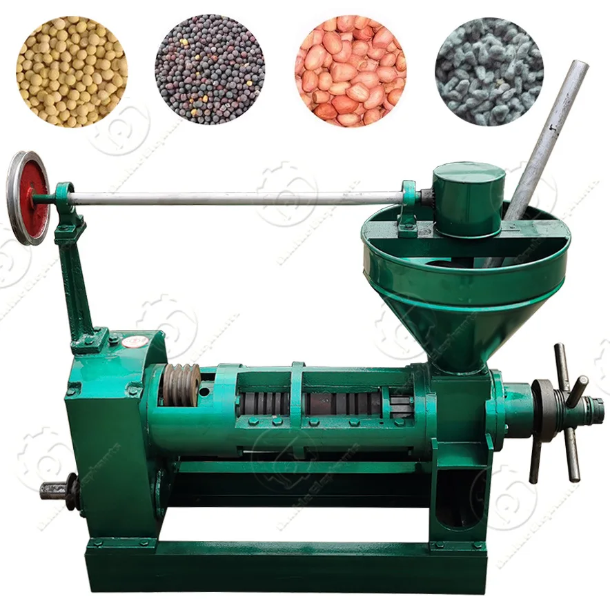6YL-80 100kg/h Small soybean peanut oil extractor Sunflower seeds oil press machine