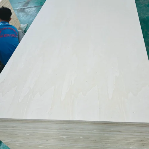 Poplar Plywood Hot Selling Reusable Construction-Grade Reused 6-8 Times Thickness From Vietnam Manufacturer