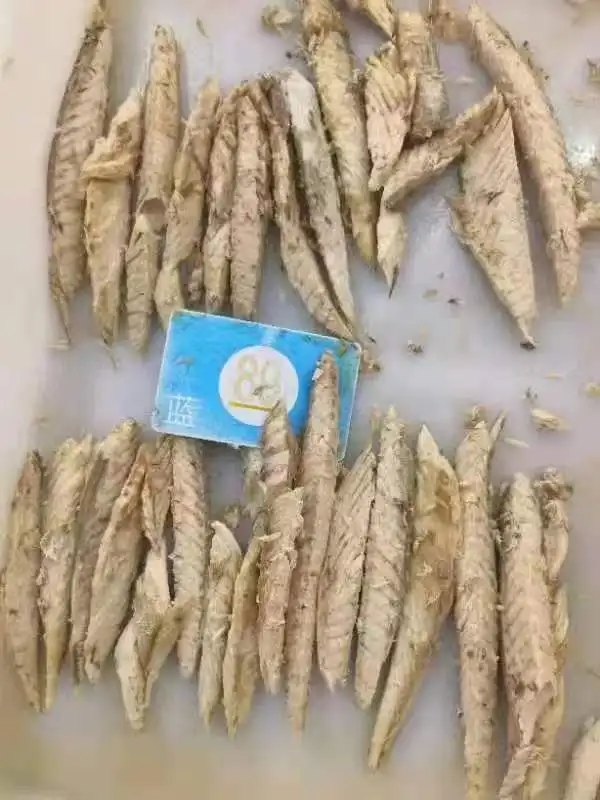 Origin china New stock precooked bonito tuna loin with good quality