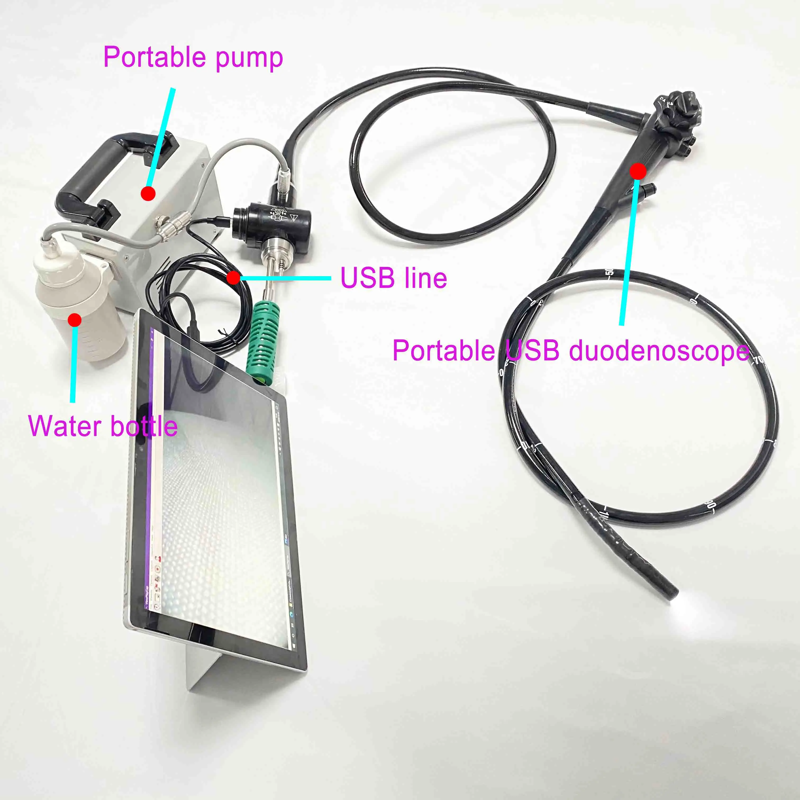 EUR PET Factory Price Flexible Endoscope Portable Endoscope Led Light Source Veterinary Instrument For Pet