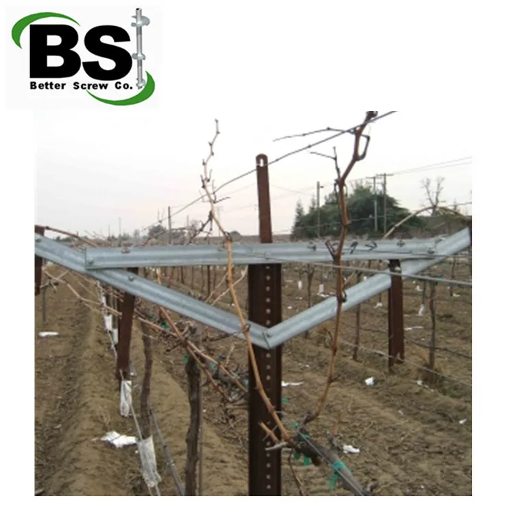 Grape Manor U Channel Steel Trellis Galvanized Powder Coating Optional Color