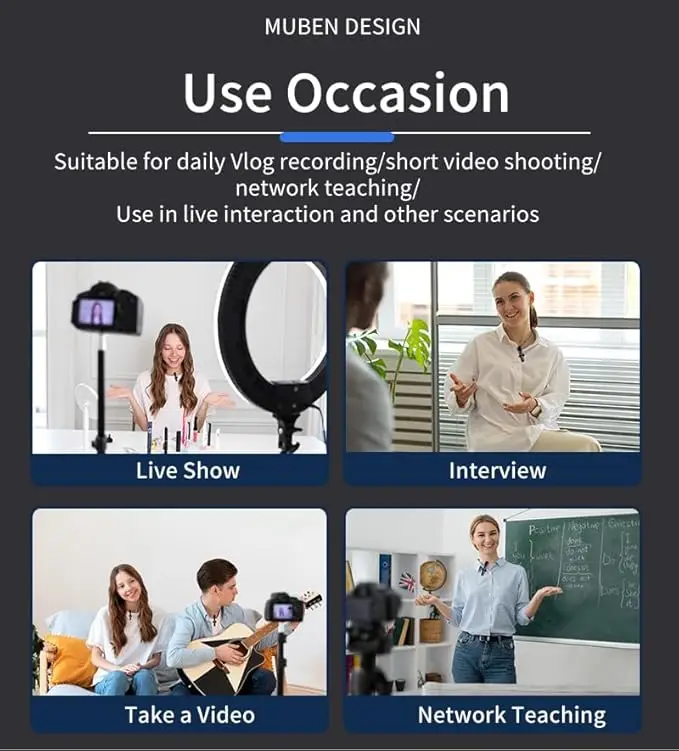 Portable 2 In 1 Wireless Microphone Interview Audio  Broadcast Comic For Horn Videos Recording