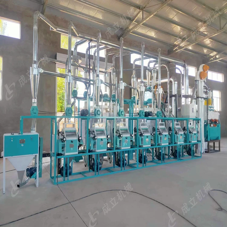 complete Wheat flour milling production line