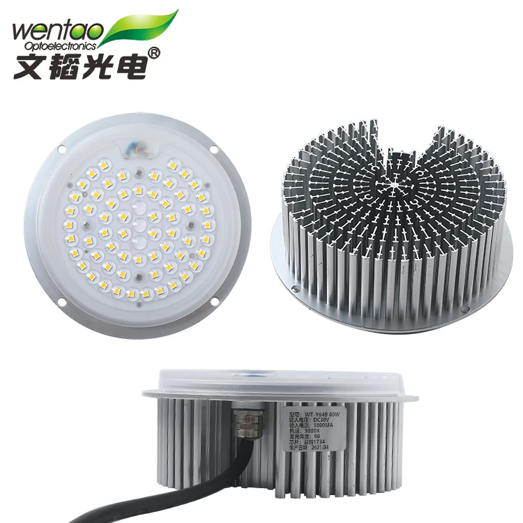 wholesale price 50W 60W  Aluminum LED Module for garden light and landscape lamp