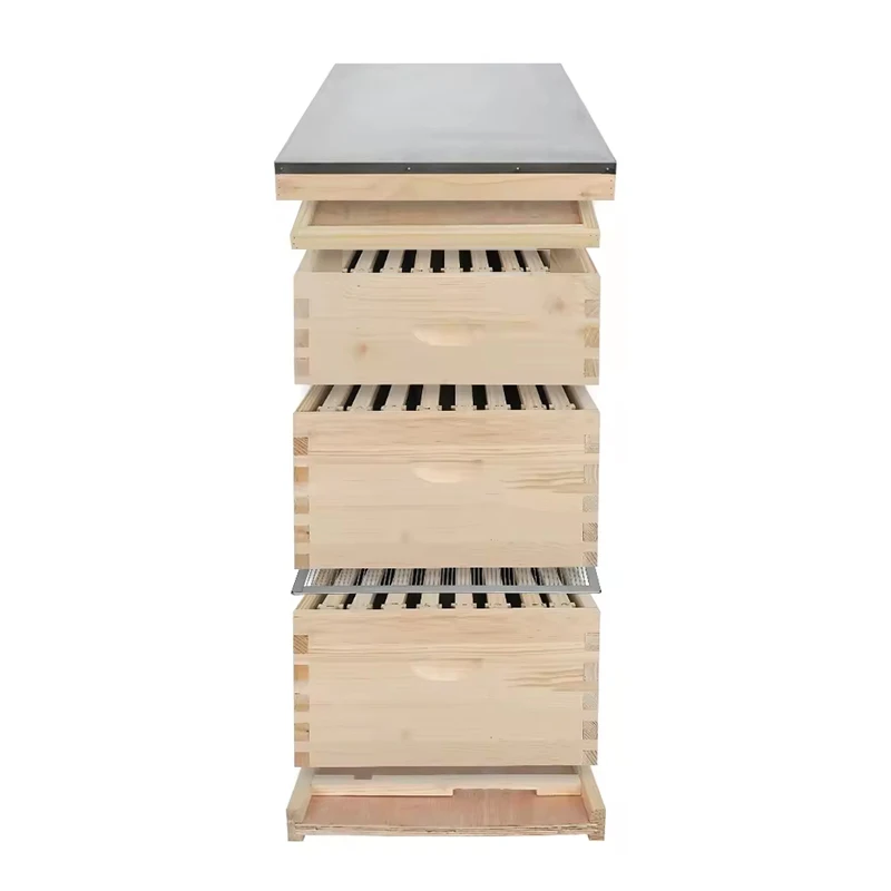 Beekeeping Beehive Box - 10 or 8 Frame Unassembled Wooden Langstroth Beehive for Sale Honey Bee Hive Manufacturing Supplies