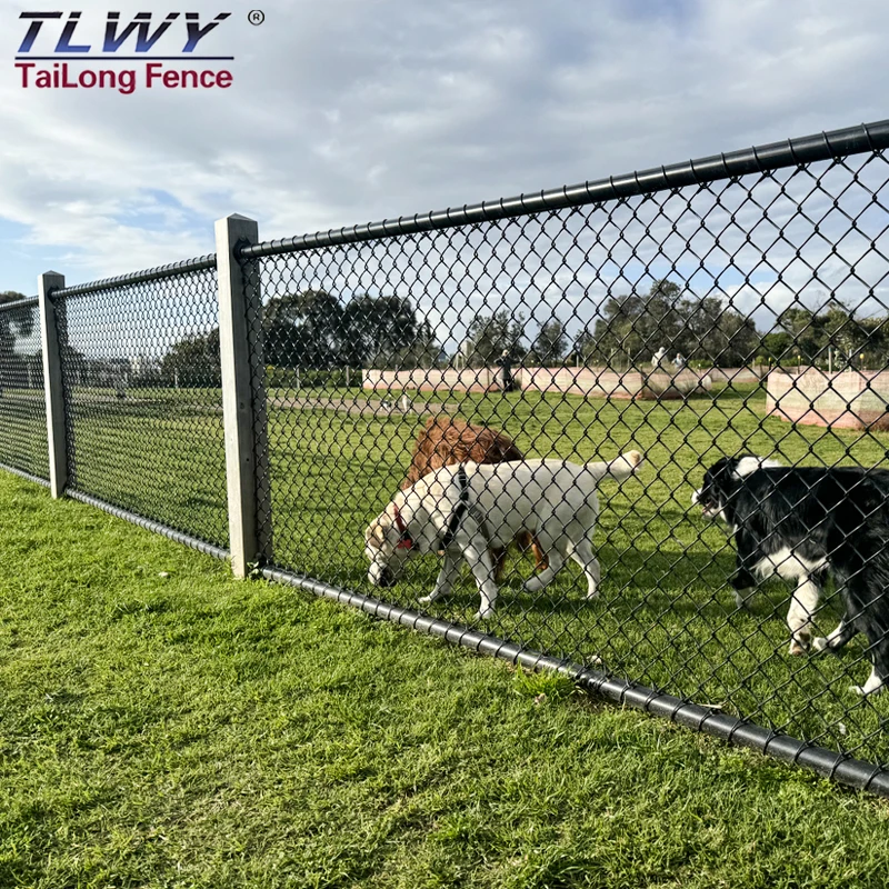 Philippines Hot Dipped Galvanized Cyclone Wire Mesh 8 ft Chain Link Fence Roll PVC Chain Link Fence