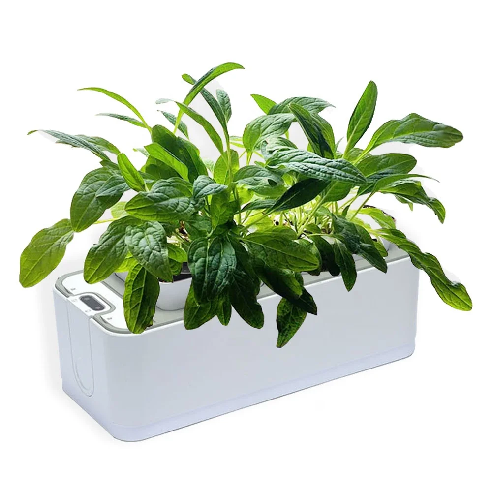 RY garden planter smart herb garden pods flowers self water planter hydroponic growth system for kitchen