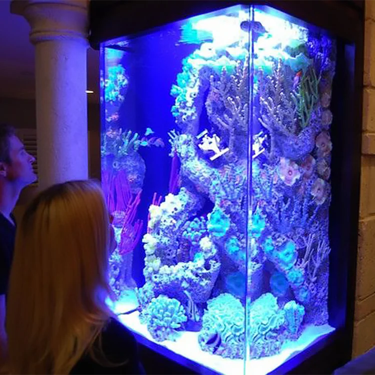 Sale Aquarium 100 Gallon 378L Fish Tank Acrylic Material Aquarium Central