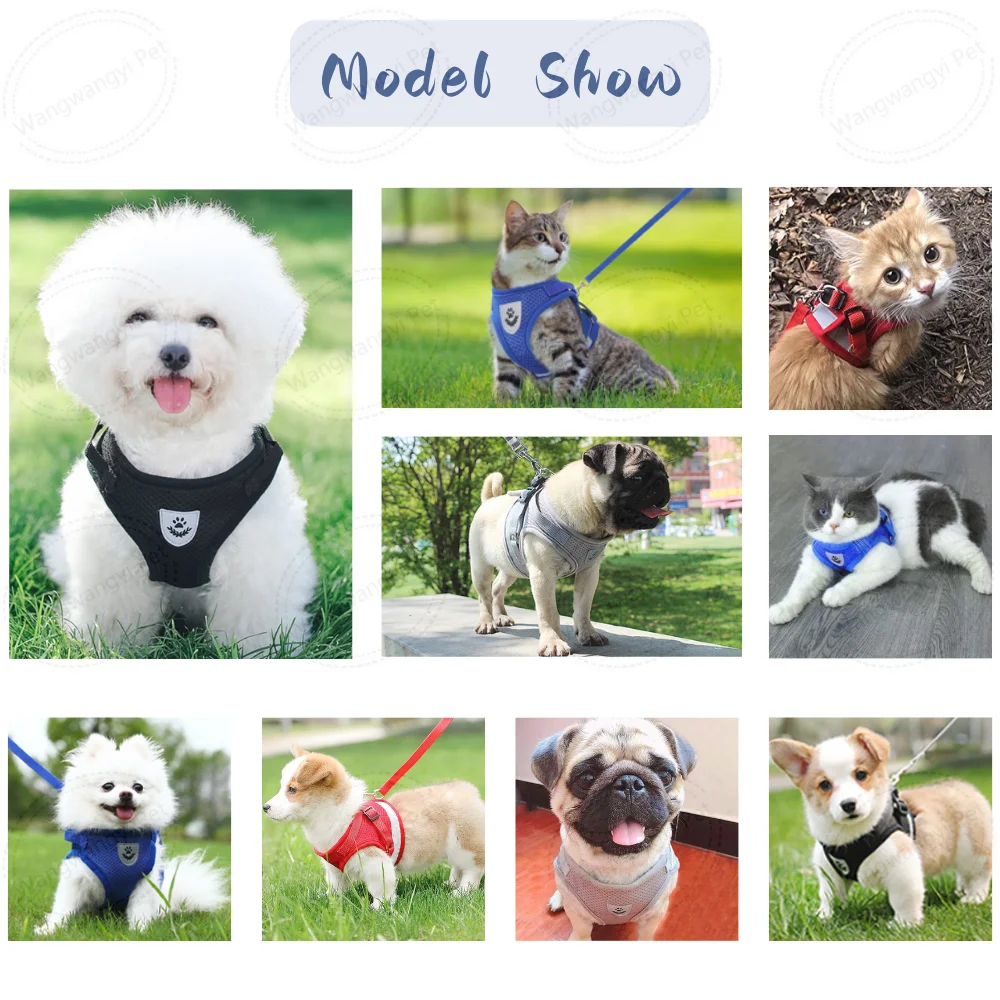Reflective No Pull Dog Harness Leash Set Soft Mesh Pet Harness for Cat Puppy Walking