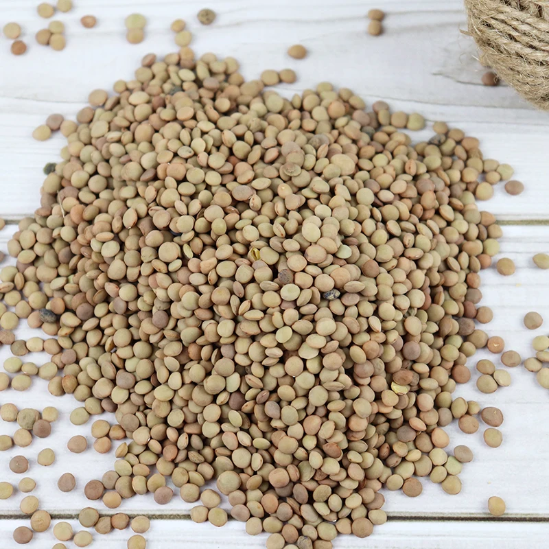 Green Lentils best quality