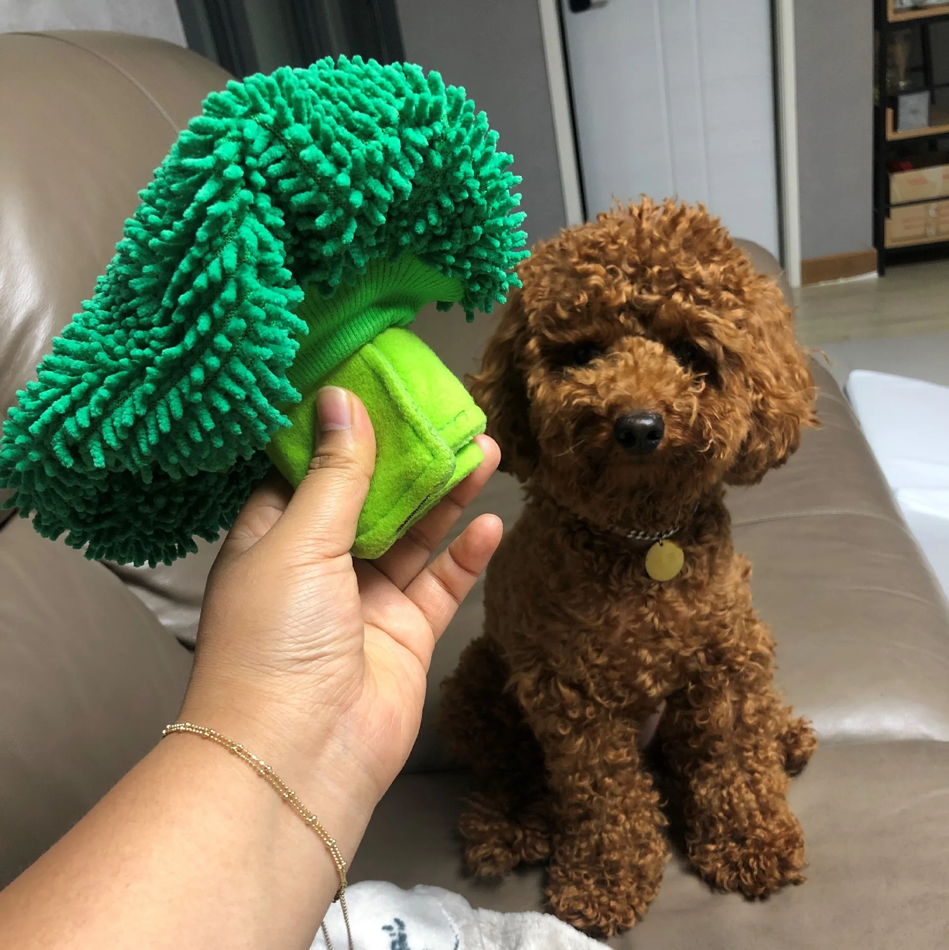 Wholesale INS Hot Korean Plush Broccoli Shape Interactive Toys Durable Pet Chewing toys Dog Toys Squeaky