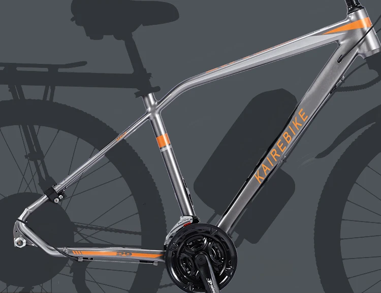 hot sale 4.0 fat tire large wheel 29 inch 48v 1000w beach electric e bike