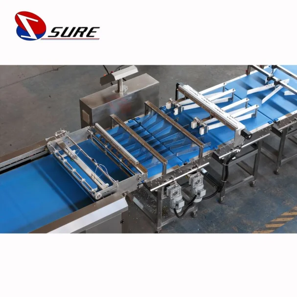Biscuit Cookies Feeding and Packaging Line Automatic Feeding and Packing Line Automatic Production Line for Cake Packing Machine